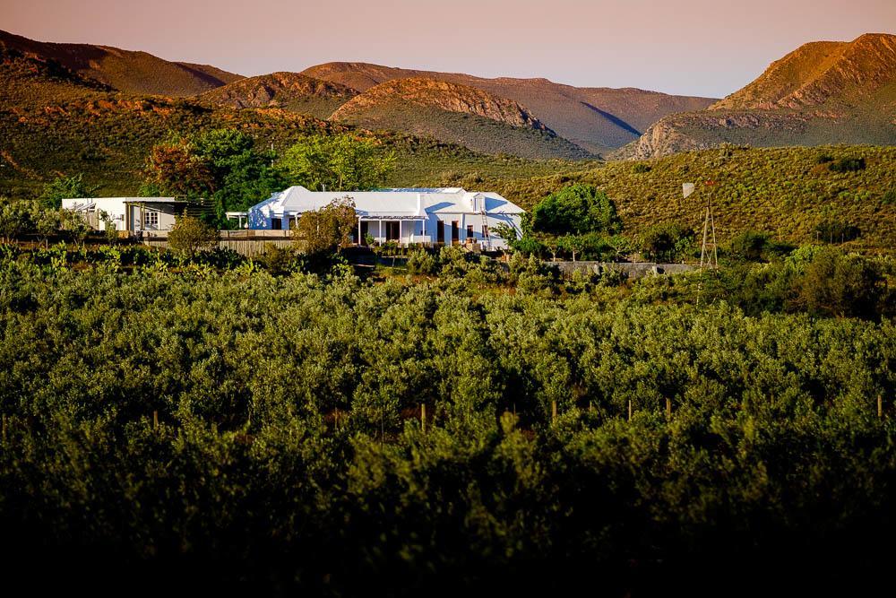 Vrisch Gewagt Boutique Self-Catering Olive Farm Guest House พรินซ์อัลเบิร์ต ภายนอก รูปภาพ